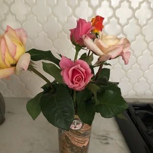 Meet your Posher, Boo